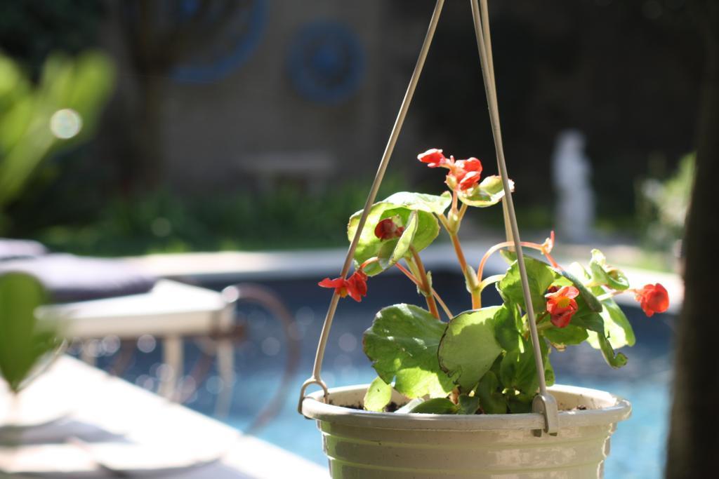 Bed and Breakfast L'Abri Du Poete Besse-sur-Issole Exterior foto